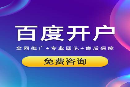 短视频平台的SEM推广实践与效果